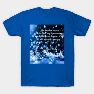 Rain down my righteousness - Isaiah 45:8 T-Shirt